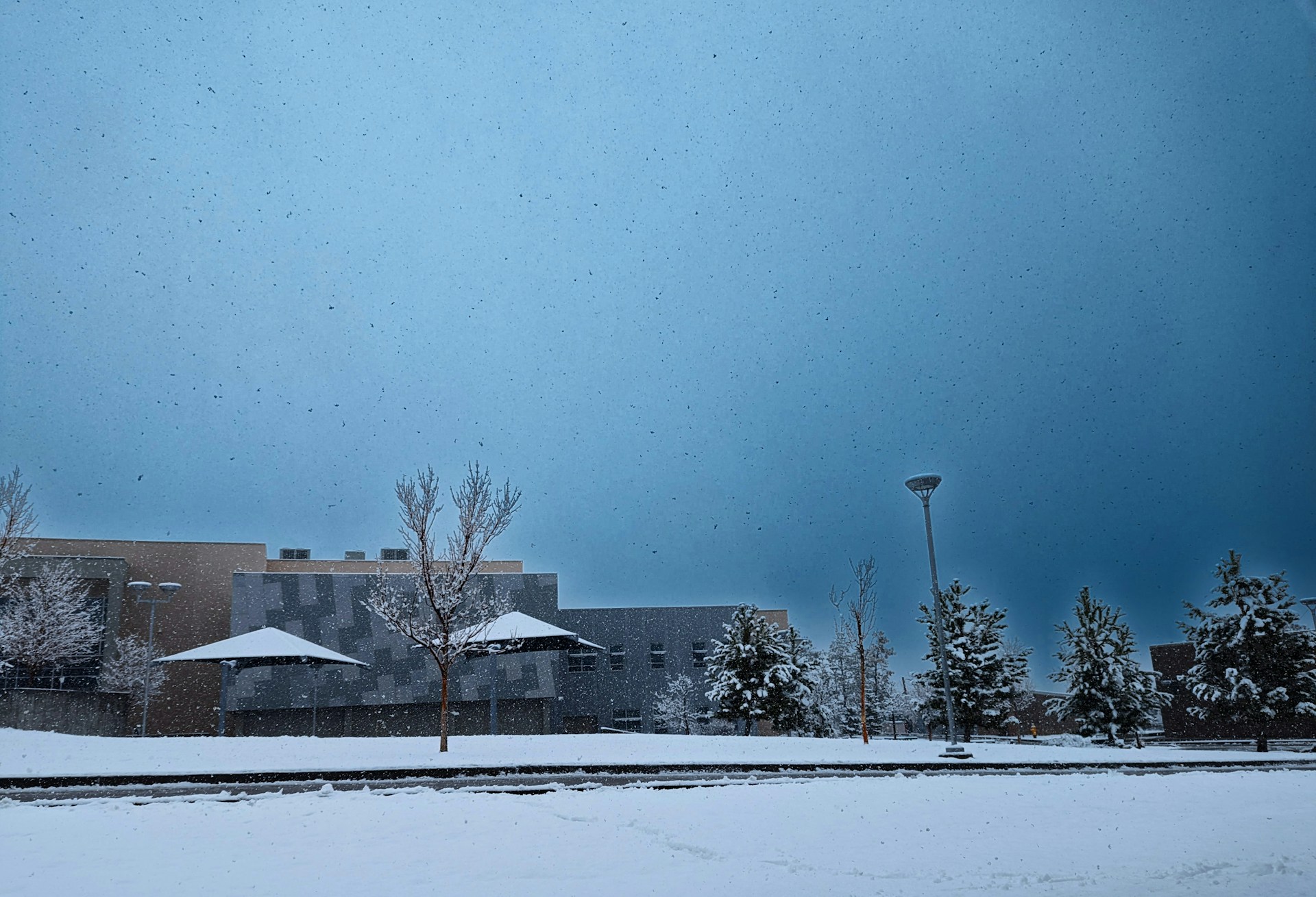 Gulf Coast Hit By Rare Winter Storm Bringing Historic Snow - Current ...